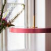 Suspension Asteria Mini Rose